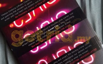 SUNSET CITY (Book)