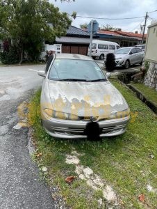 Proton Perdana