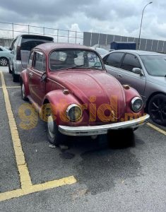 VW Beatle