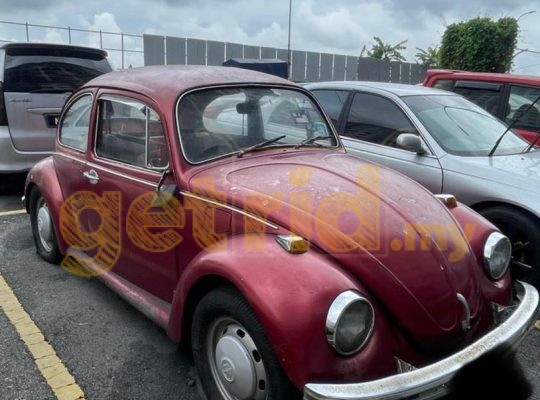 Volks Beetle – Looks Abandoned
