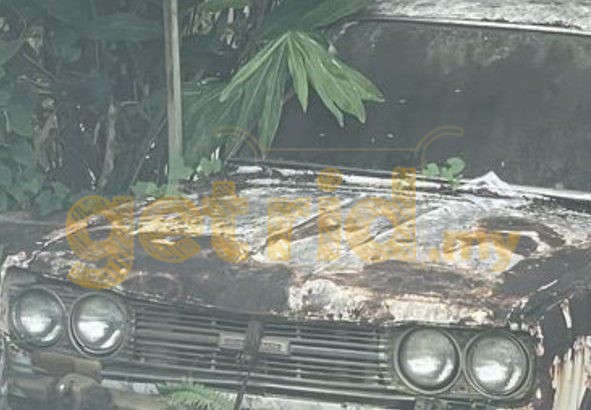 Datsun B510 Wagon – Abandoned