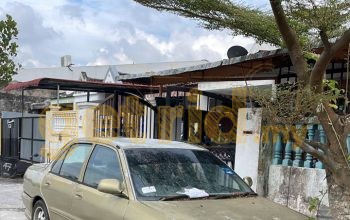Proton Wira Sedan – Abandoned