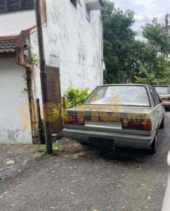 Sunny 1.4