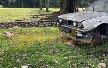 BMW 3 Series – Abandoned