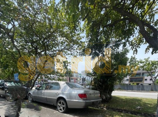 Ssangyong Chairman Limousine – Sad Sight