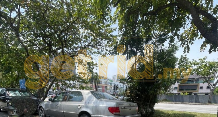 Ssangyong Chairman Limousine – Sad Sight
