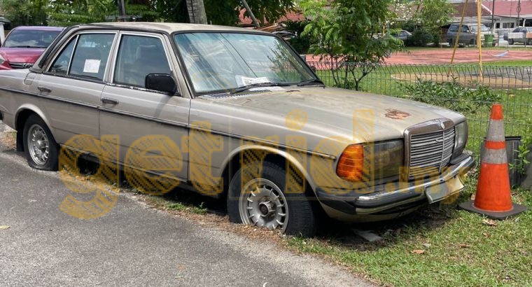 Mercedes 123 – Abandoned