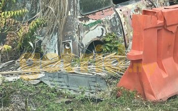 Mini – Rotted Away