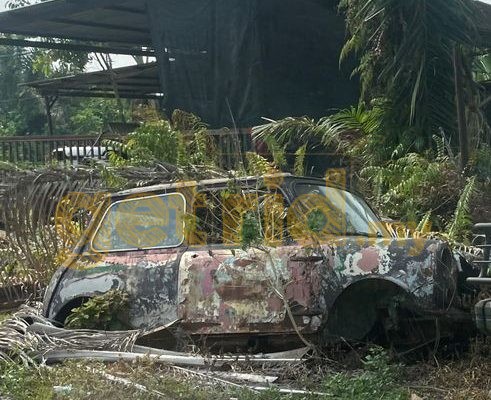 Mini – Rotted Away