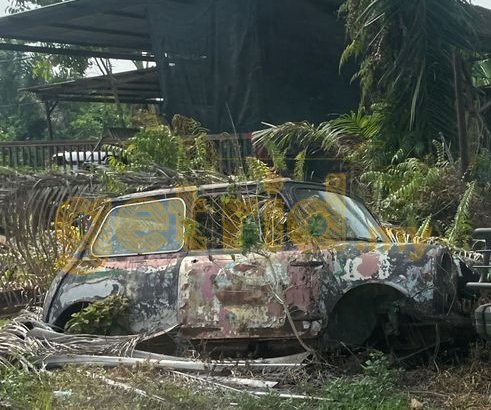 Mini – Rotted Away