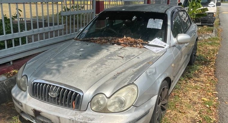 Forgotten Comfort: The Hyundai Sonata 2.0