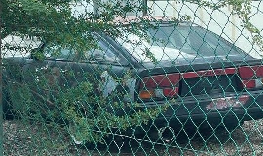 A Sleeping Z: The Nissan 300ZX