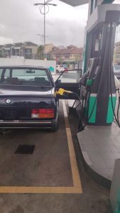 Roy's 82 Alfetta