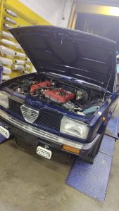Roy's 82 Alfetta