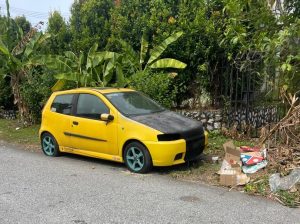 The Forgotten Little Italian – Fiat Punto