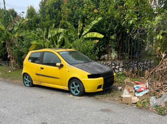 The Forgotten Little Italian – Fiat Punto
