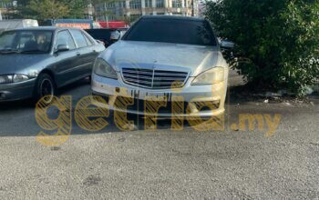 A Fallen Giant on the Roadside