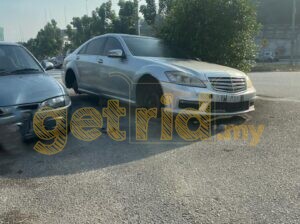 A Fallen Giant on the Roadside