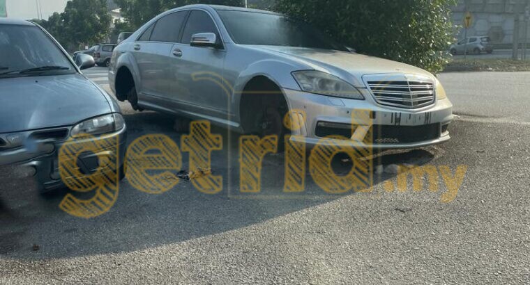 A Fallen Giant on the Roadside