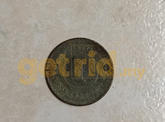 1 Cent Coin