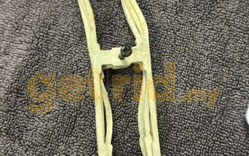 Alfa Romeo Gulia – Front Signal Gasket
